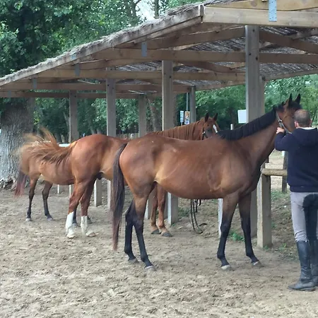 مكان تخييم Le Sherwood - Mobil-home سان جان دي مونت