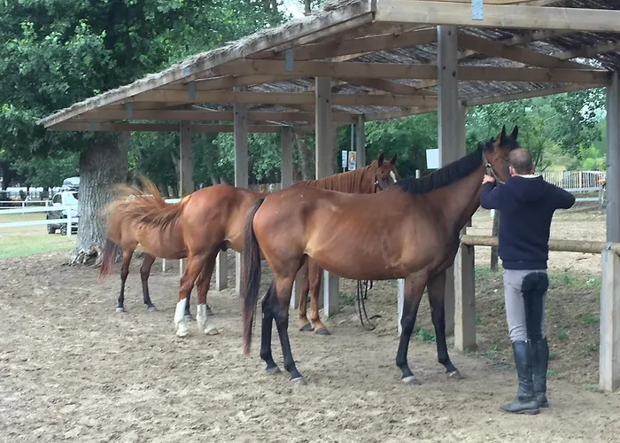 Kamp alanı Le Sherwood - Mobil-home Saint-Jean-de-Monts