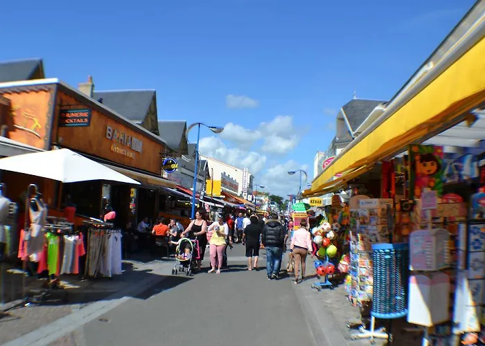Kamp alanı Le Sherwood - Mobil-home